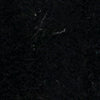 Betsy - Image 6