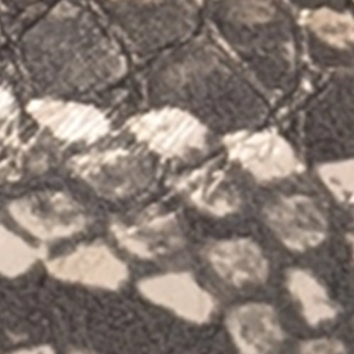 Betsy - Image 6