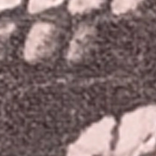 Cinzia - Image 6
