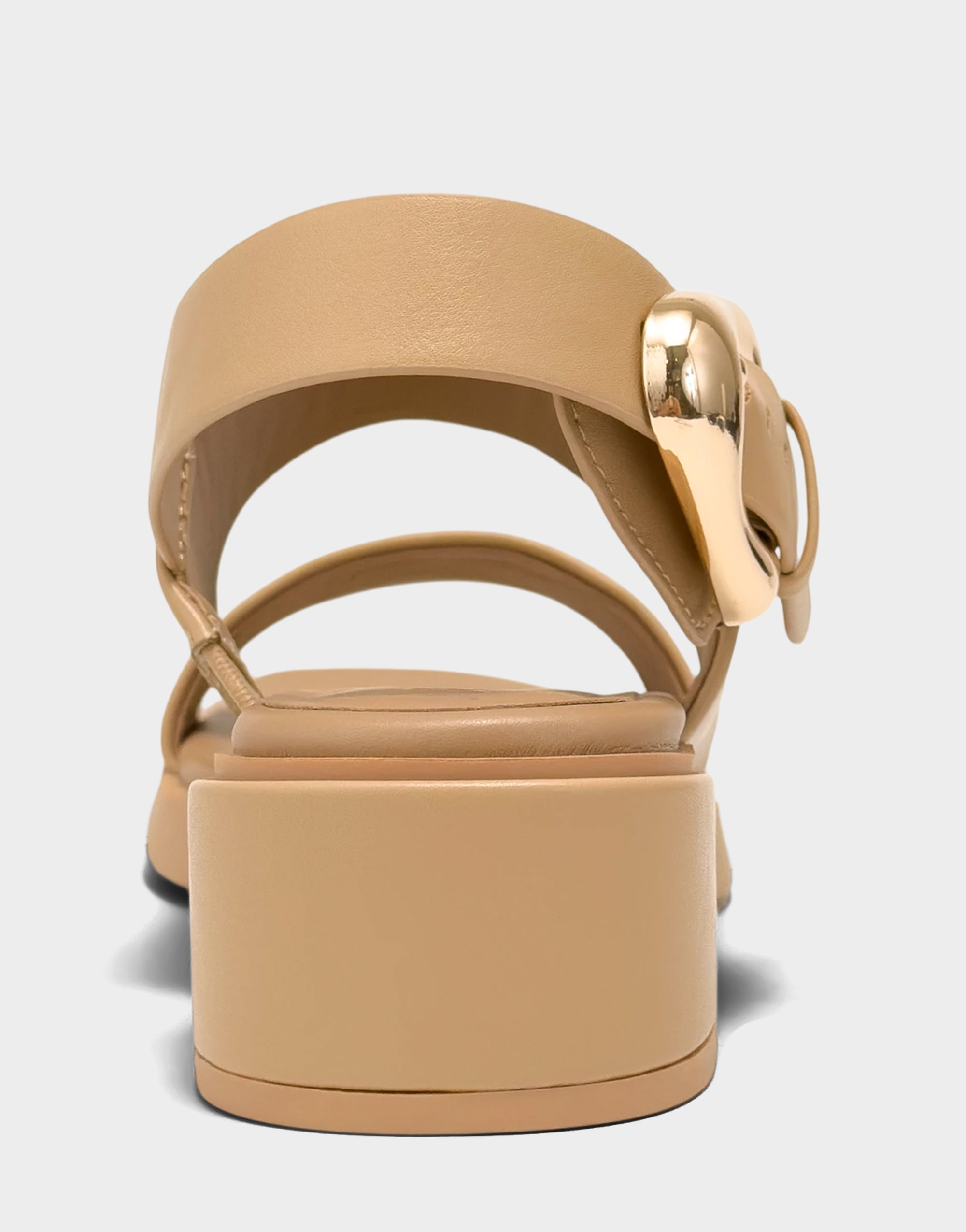 Dantay - Image 5