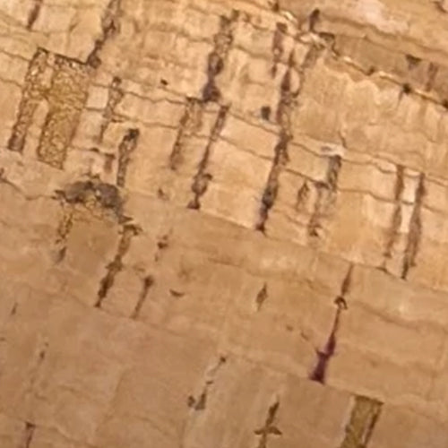 Jilda - Image 6