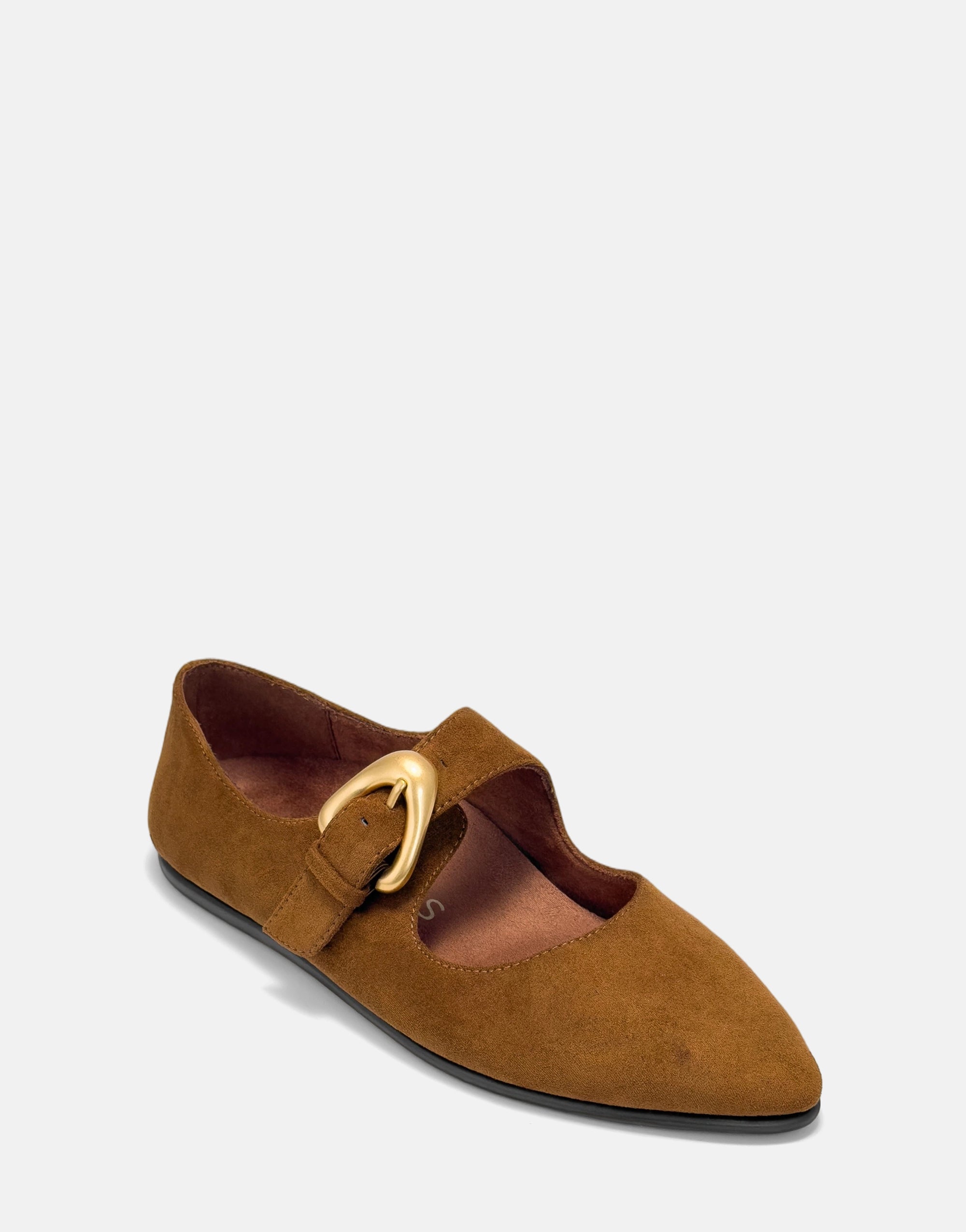 Paylor - Image 2