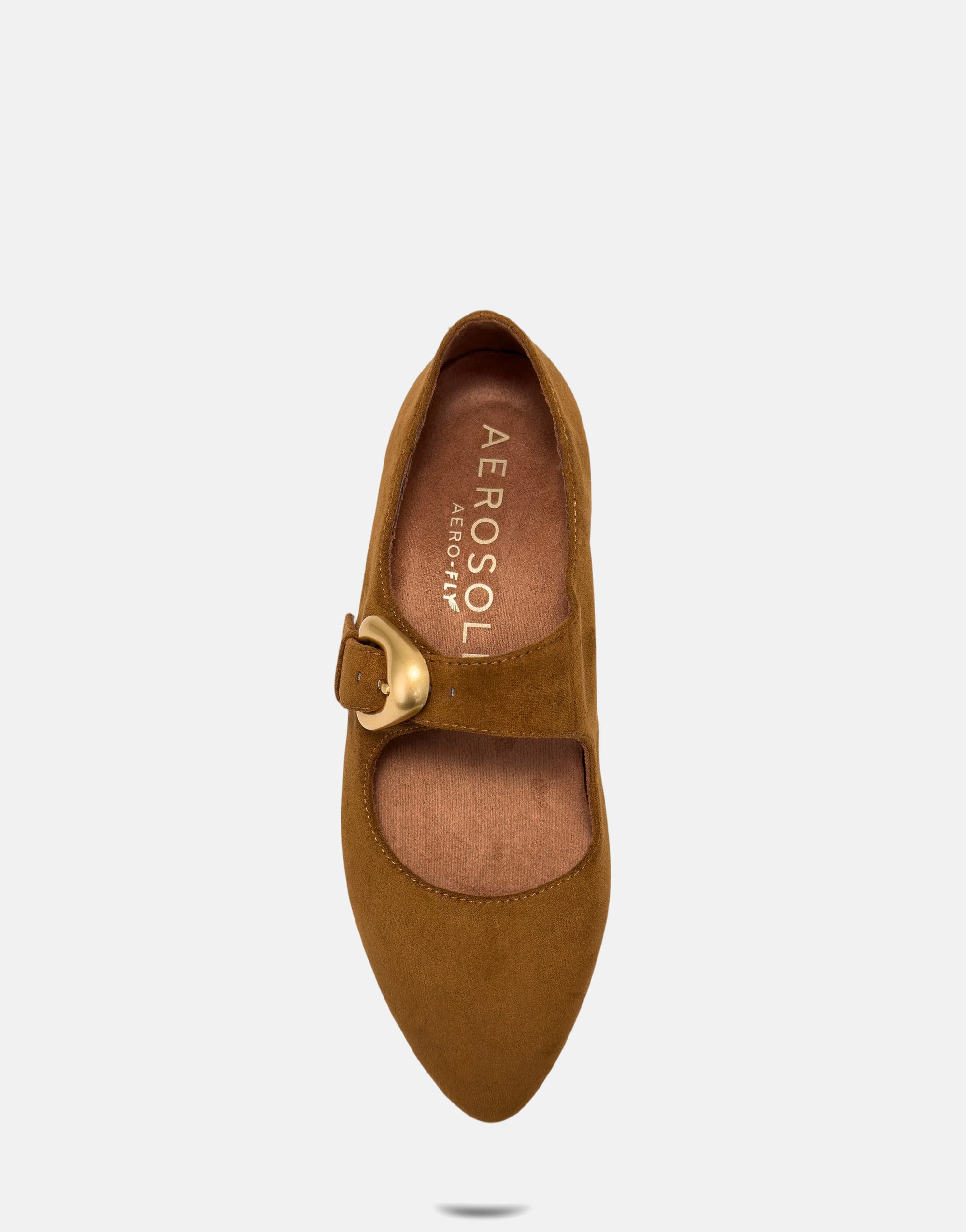 Paylor - Image 3
