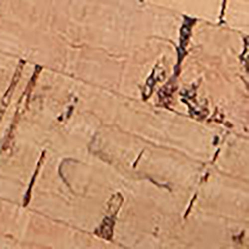 Willis Cork - Image 6